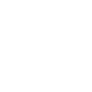 logo réflexologie Bien Lunées 2 pied et une lune